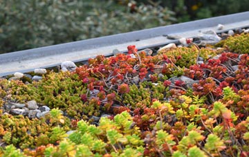 the cost of Tallentire green roof installation