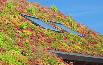 Tallentire living roof systems