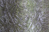 Tallentire fibreglass roof work